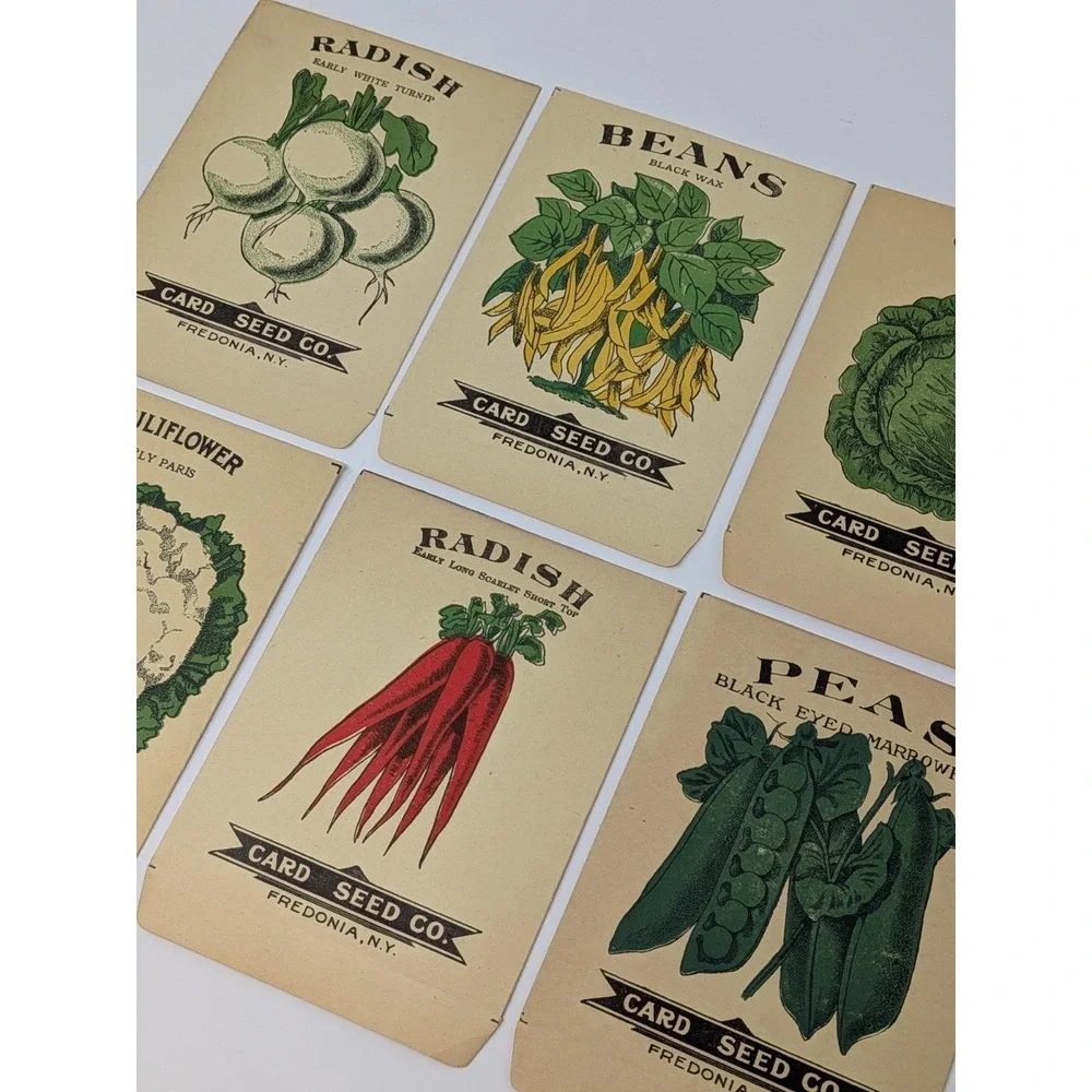 Lot of Six Card Seed Company Antique Seed Packets from Fredonia, N.Y. Farm Decor
